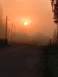 ZeNa78