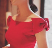 Lady_red_fox