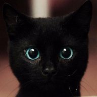 GataNegra