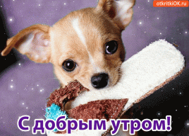 Неллис