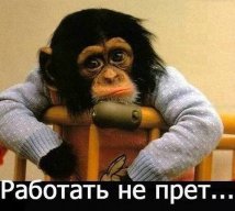 frezz