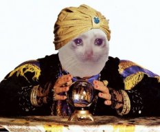 nataltaro